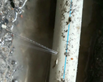 赤坎卫生间测漏水多少钱
